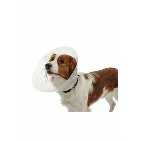 Kołnierz ochronny BUSTER plastikowy Classic Collar 7,5cm